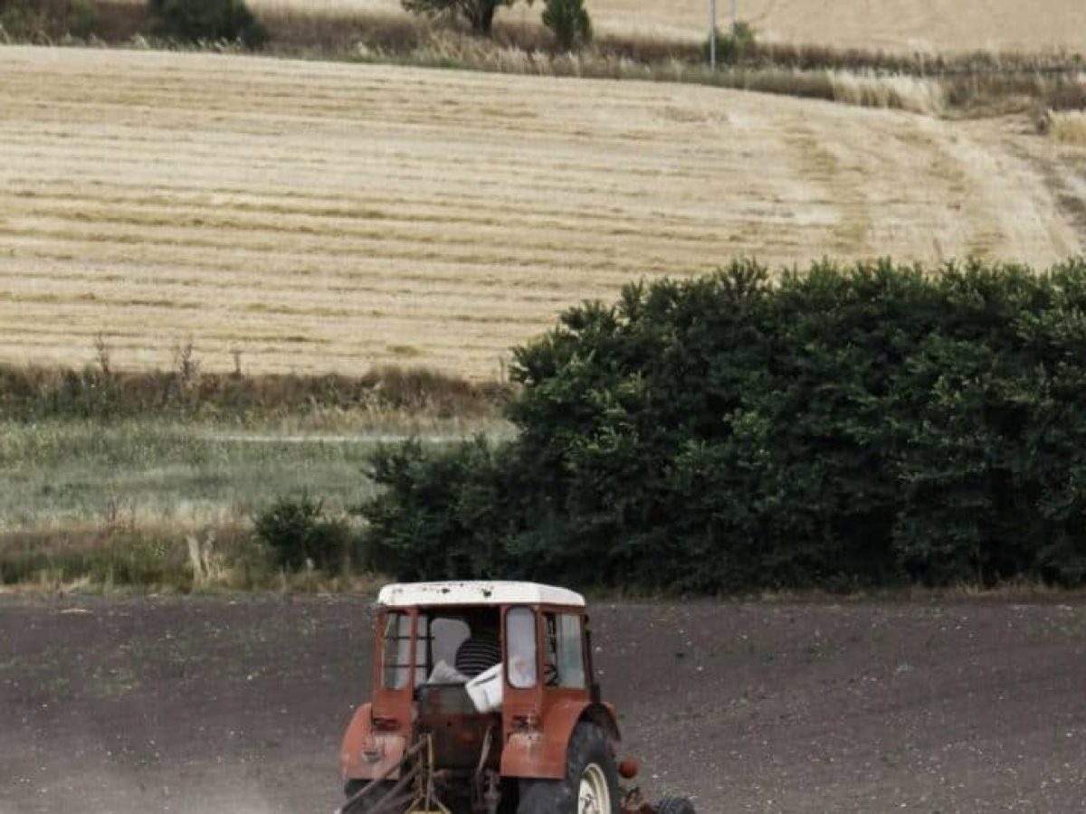 Χατζηδάκης: Το συντομότερο δυνατόν η καταβολή των αγροτικών επιδοτήσεων