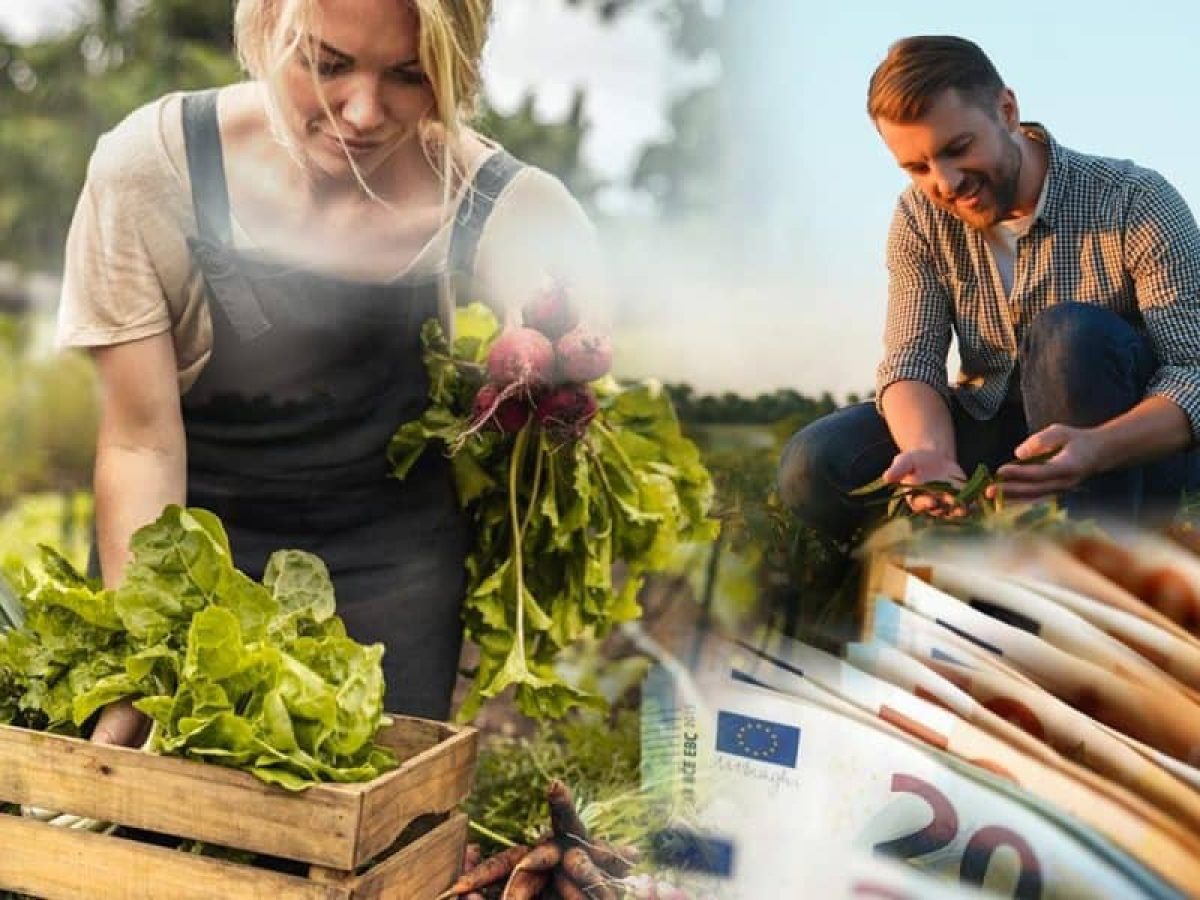 ΕΕ: Νέοι κανόνες για την ενίσχυση των αγροτών στην αλυσίδα τροφίμων – Τι προωθείται