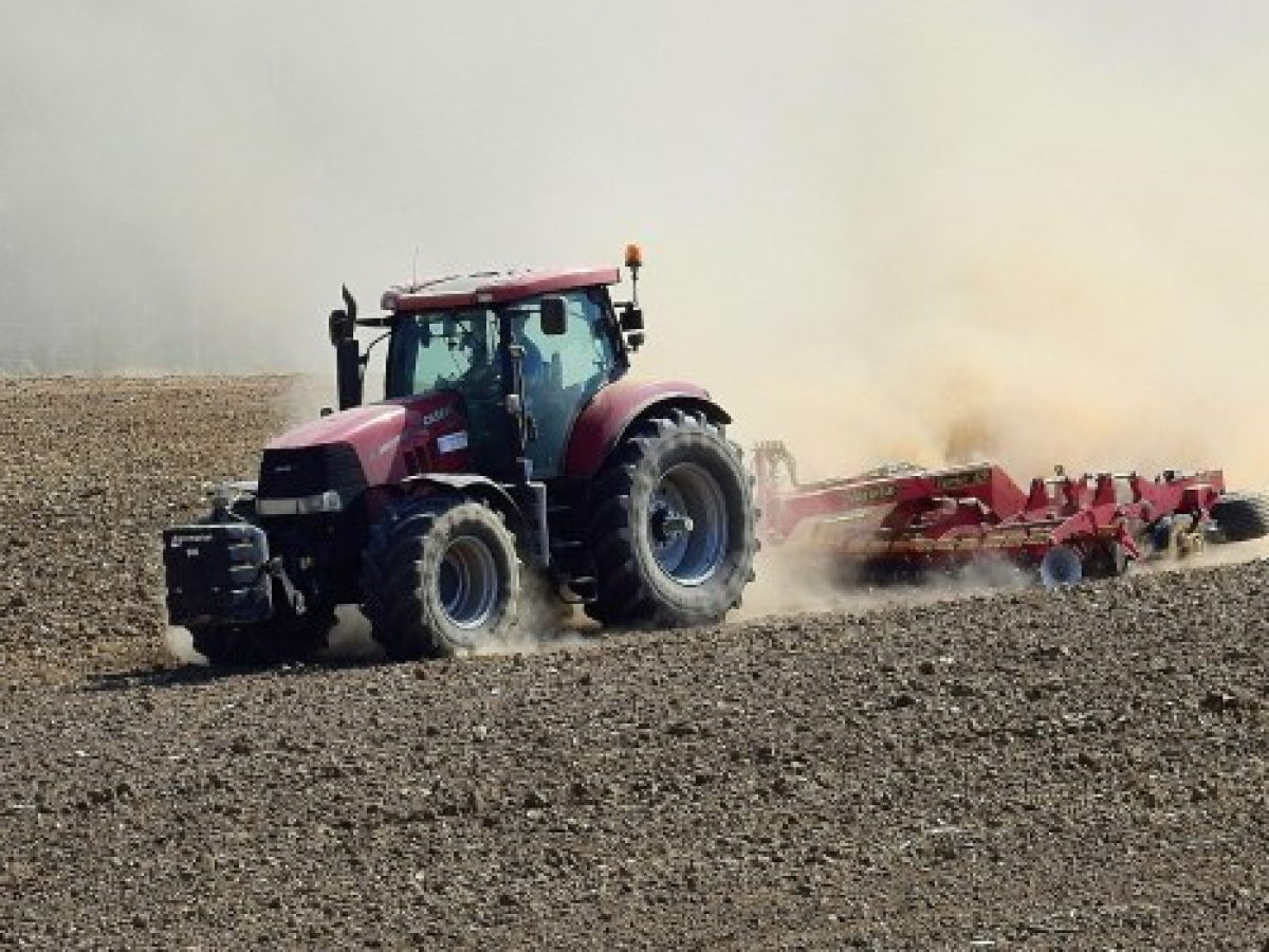 Εκχερσωμένες εκτάσεις: Αναζητείται λύση για 2 εκατ. στρέμματα – Γιατί απειλούνται 1 εκατ. ιδιοκτήτες