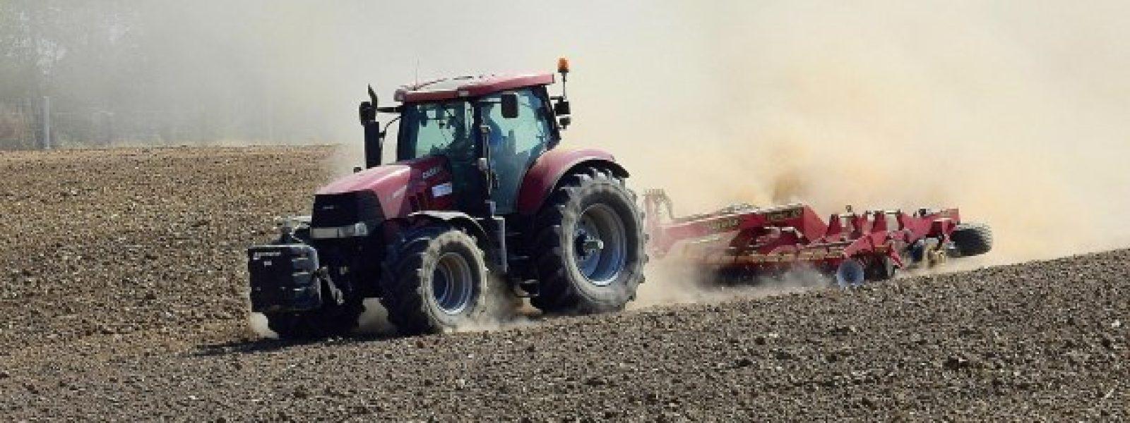 ekchersomenes-ektasis-Αnazitite-lisi-gia Εκχερσωμένες εκτάσεις: Αναζητείται λύση για 2 εκατ. στρέμματα – Γιατί απειλούνται 1 εκατ. ιδιοκτήτες