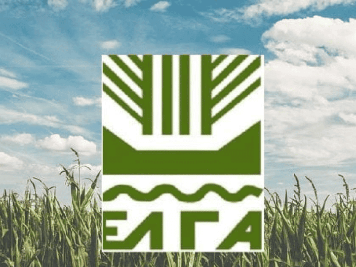 ΕΛΓΑ: 2.645 παραγωγοί καλούνται για διαφορές στις αποζημιώσεις του “Daniel-Ηλίας”