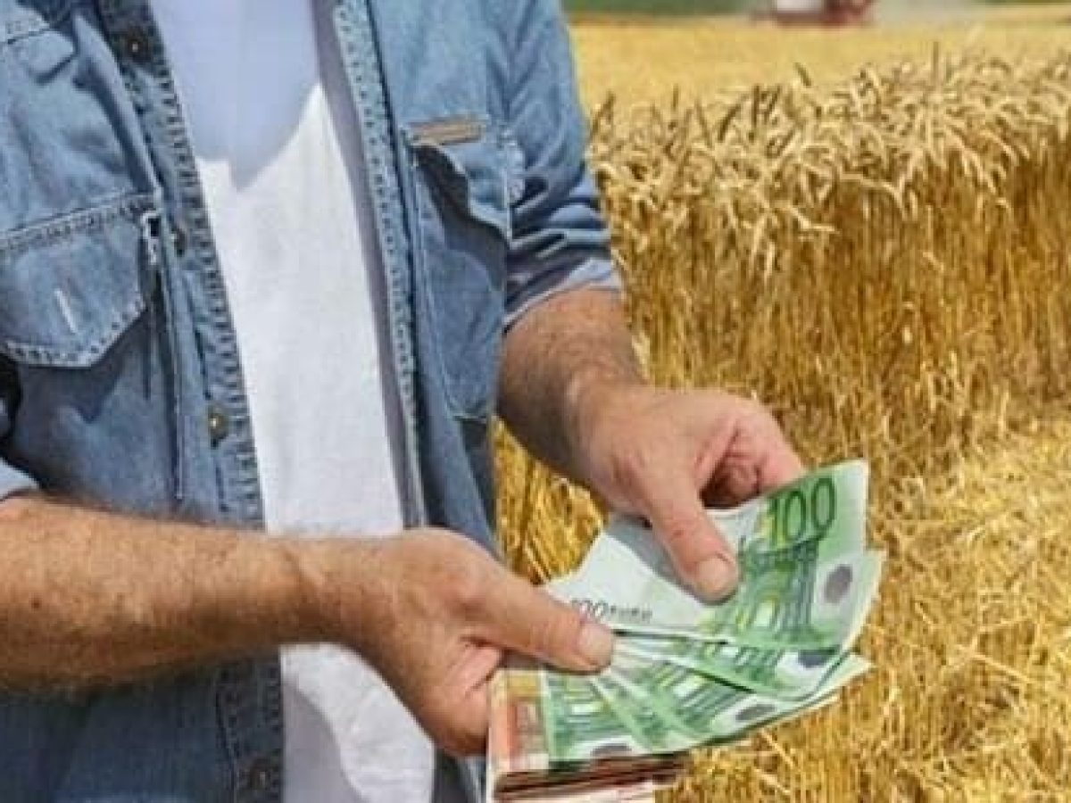 ΕΛΓΑ: Μηνύματα σε αγρότες για επιστροφή αποζημιώσεων