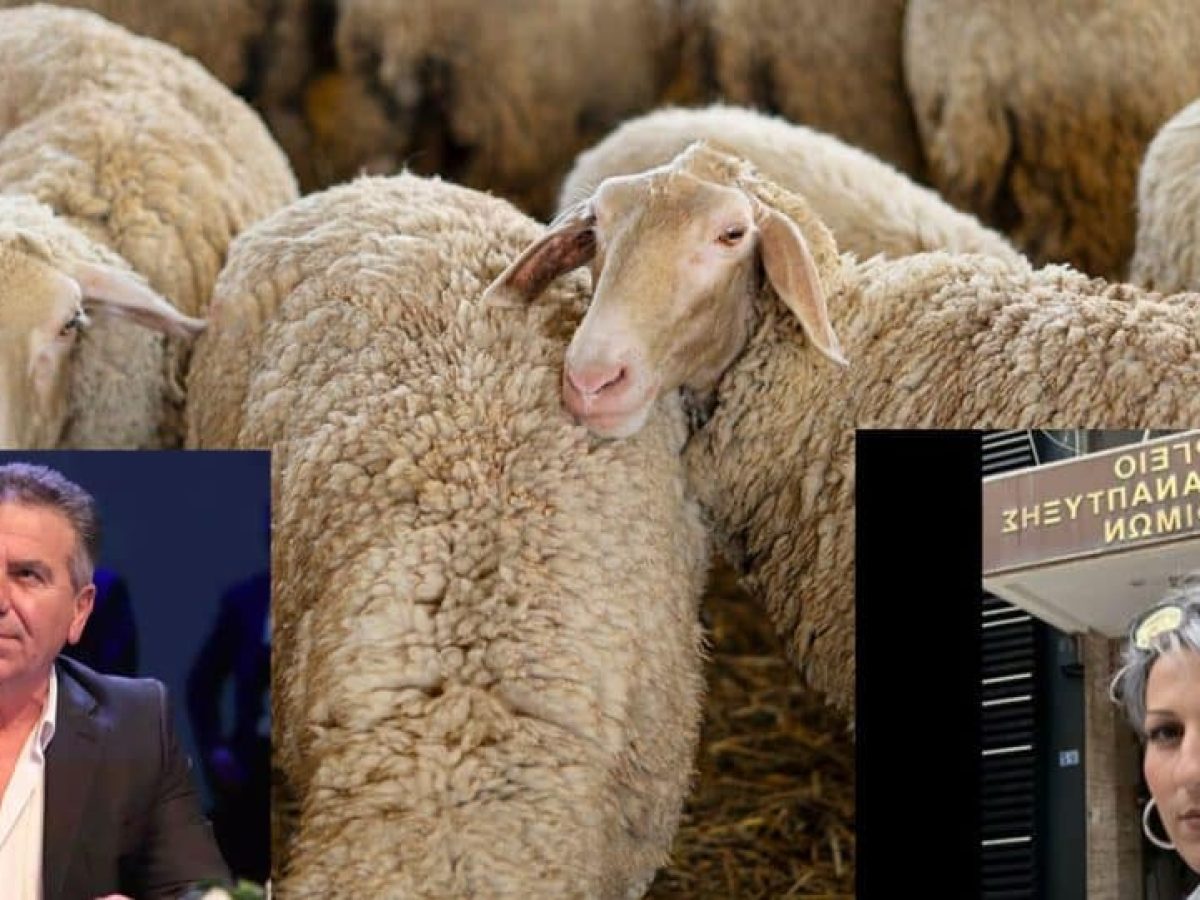 Ευλογιά: Έρχονται 18 σταθμοί απολύμανσης στη Δ. Μακεδονία – Καραμανλή (κτηνοτρόφοι Εορδαίας): «Η κατάστασή μας είναι τραγ