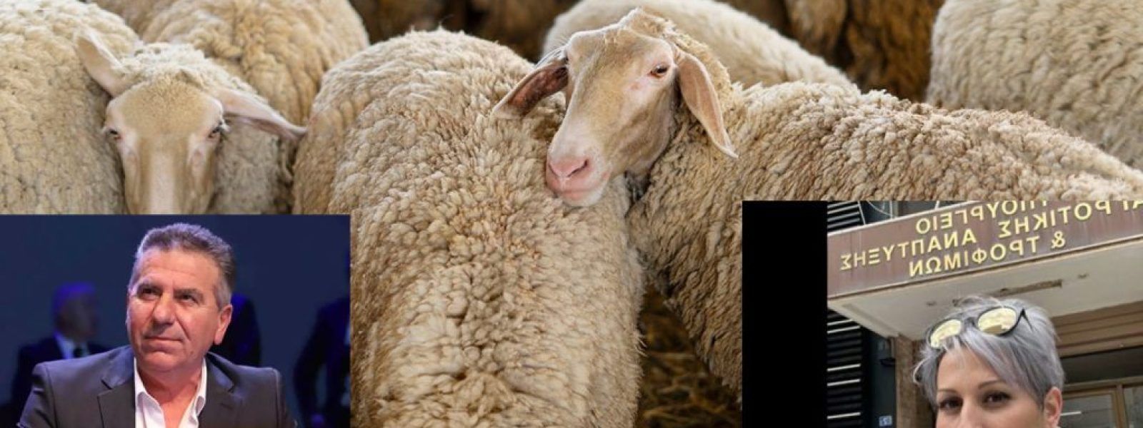 evlogia-erchonte-18-stathmi-apolimansis Ευλογιά: Έρχονται 18 σταθμοί απολύμανσης στη Δ. Μακεδονία – Καραμανλή (κτηνοτρόφοι Εορδαίας): «Η κατάστασή μας είναι τραγ