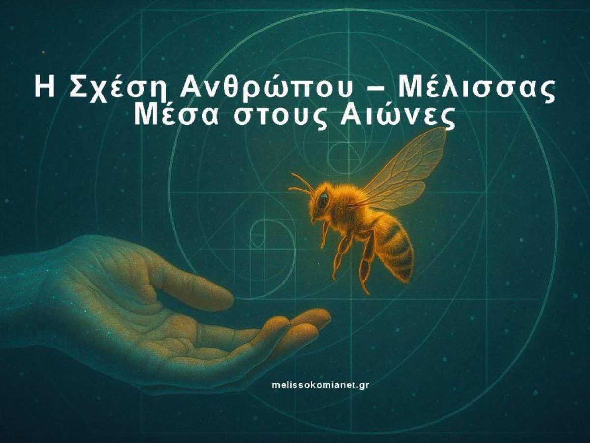 Η Σχέση Ανθρώπου – Μέλισσας Μέσα στους Αιώνες