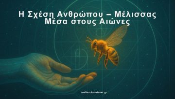 Η Σχέση Ανθρώπου – Μέλισσας Μέσα στους Αιώνες
