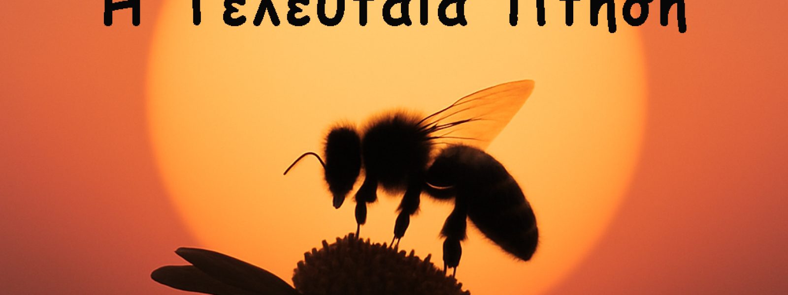 i-zoi-mias-melissas-apo Η Ζωή μιας Μέλισσας από το Αυγό μέχρι την Τελευταία Πτήση