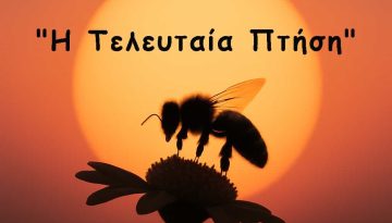 Η Ζωή μιας Μέλισσας από το Αυγό μέχρι την Τελευταία Πτήση