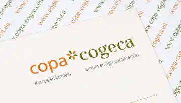 &Kappa;&alpha;&theta;&omicron;&rho;&iota;&sigma;&tau;&iota;&kappa;έ&sigmaf; &psi;&eta;&phi;&omicron;&phi;&omicron;&rho;ί&epsilon;&sigmaf;: &Alpha;&pi;&lambda;&omicron;ύ&sigma;&tau;&epsilon;&upsilon;&sigma;&eta; &Kappa;&Alpha;&Pi; &kappa;&alpha;&iota; &delta;&iota;&kappa;&alpha;&iota;&omicron;&sigma;ύ&nu;&eta;