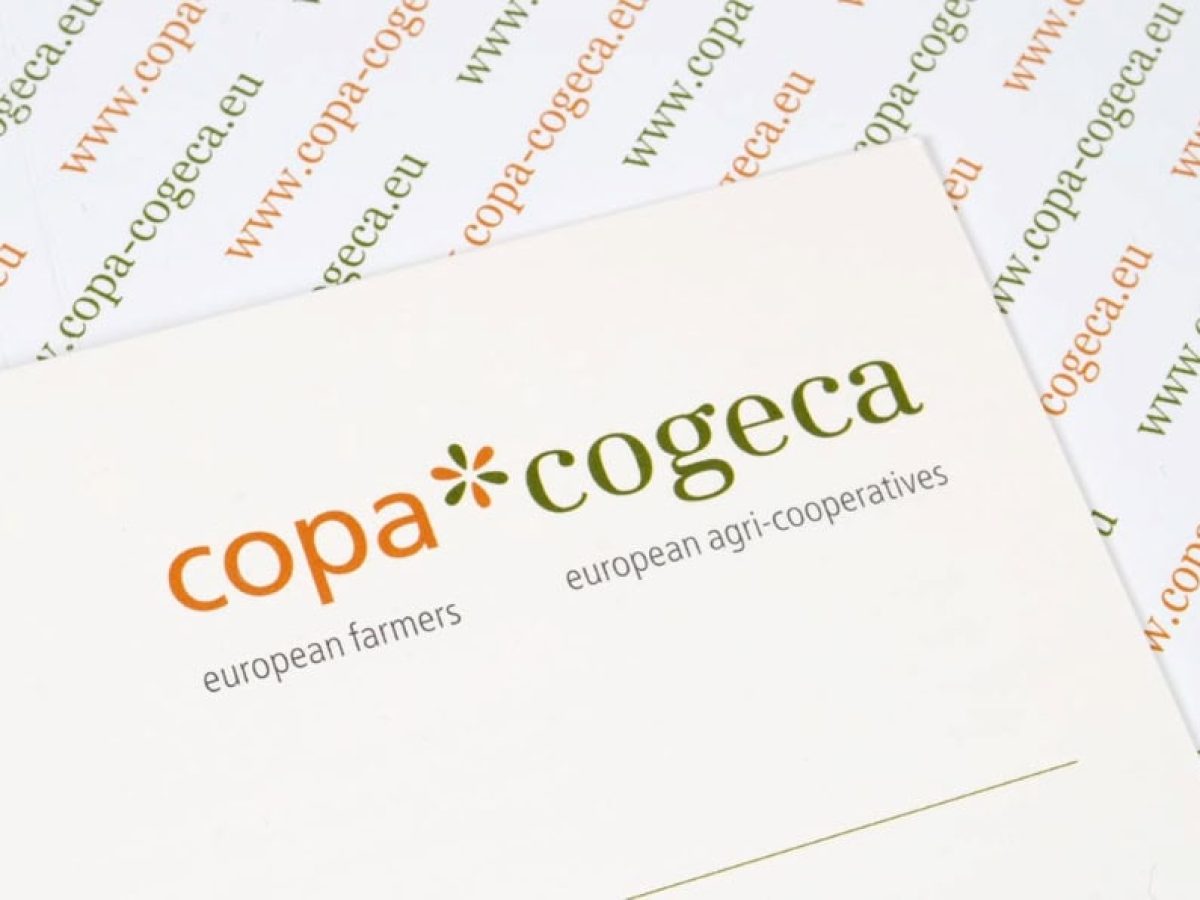 Καθοριστικές ψηφοφορίες: Απλούστευση ΚΑΠ και δικαιοσύνη