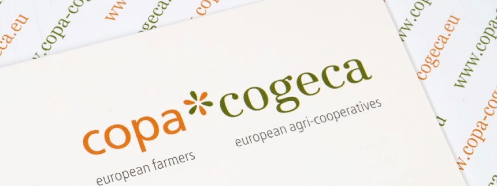 kathoristikes-psifofories-Αploustefsi-kΑp-ke Καθοριστικές ψηφοφορίες: Απλούστευση ΚΑΠ και δικαιοσύνη