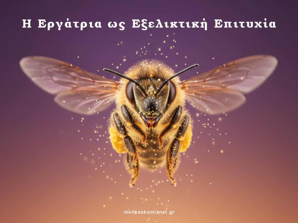 Μέλισσες και Εξέλιξη: Η Εργάτρια ως Εξελικτική Επιτυχία