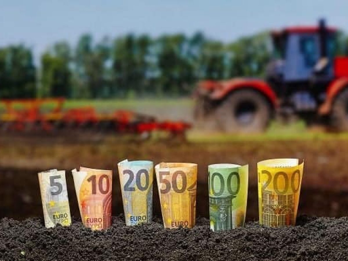 ΟΠΕΚΕΠΕ: Ξεκίνησαν οι πληρωμές σε 4.071 δικαιούχους – Ποιες ενισχύσεις καταβάλλονται πρώτες