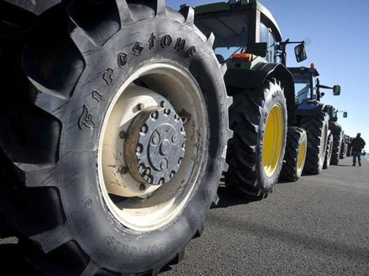 Σύσκεψη οι φορείς για τις αποζημιώσεις των παραγωγών στον κάμπο Κρύας–Λαψίστας