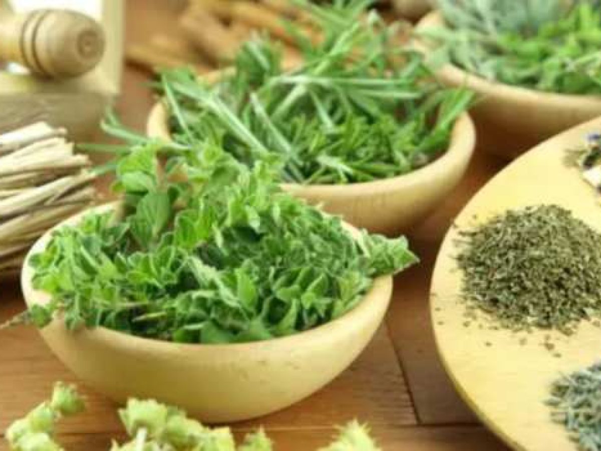 Τα 21 εκπληκτικά βότανα της ελληνικής γης κι οι ιδιότητές τους