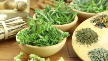 Τα 21 εκπληκτικά βότανα της ελληνικής γης κι οι ιδιότητές τους