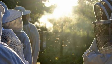 Θέλεις να γίνεις μελισσοκόμος; Προσοχή στις παγίδες