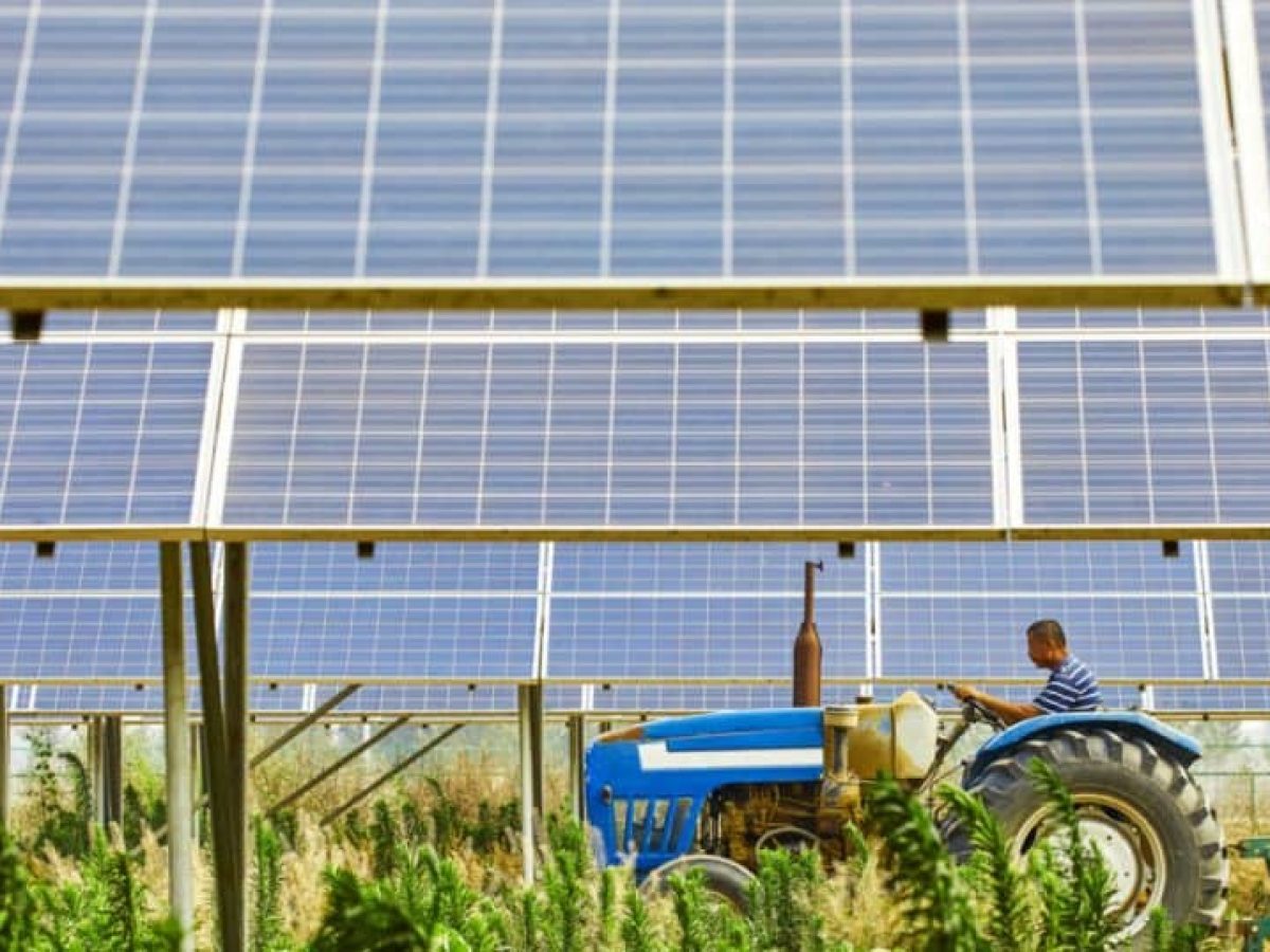 Ξεπαγώνουν πληρωμές 155 εκατ. ευρώ μέσω ΟΠΕΚΕΠΕ από Δευτέρα