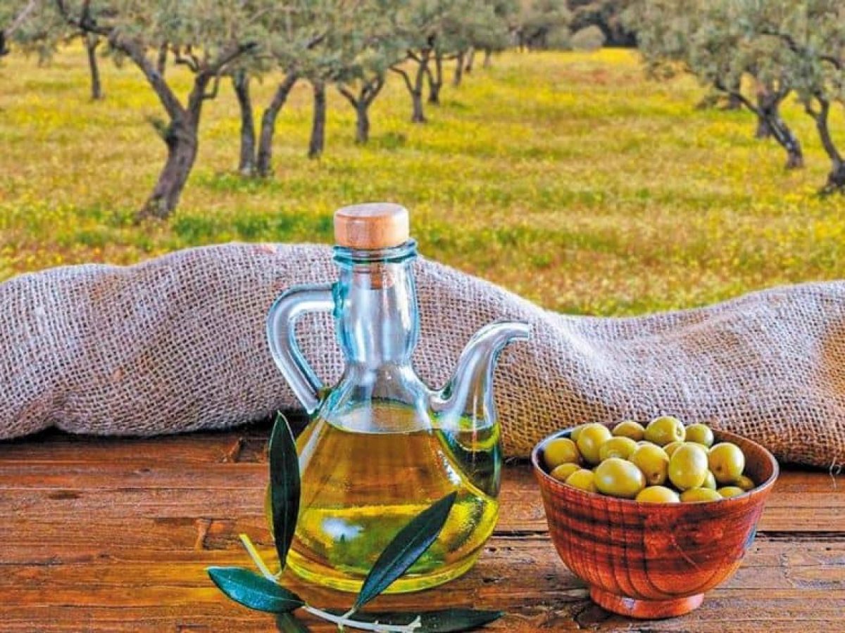 ΑΓΡΟΞΕΝΙΑ και Ελληνοϊταλικό Επιμελητήριο ενώνουν δυνάμεις, με στόχο την ανάπτυξη του τουρισμού στην ύπαιθρο