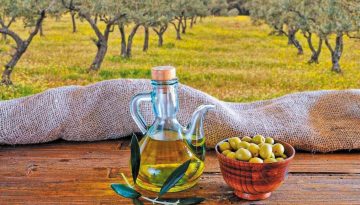 ΑΓΡΟΞΕΝΙΑ και Ελληνοϊταλικό Επιμελητήριο ενώνουν δυνάμεις, με στόχο την ανάπτυξη του τουρισμού στην ύπαιθρο