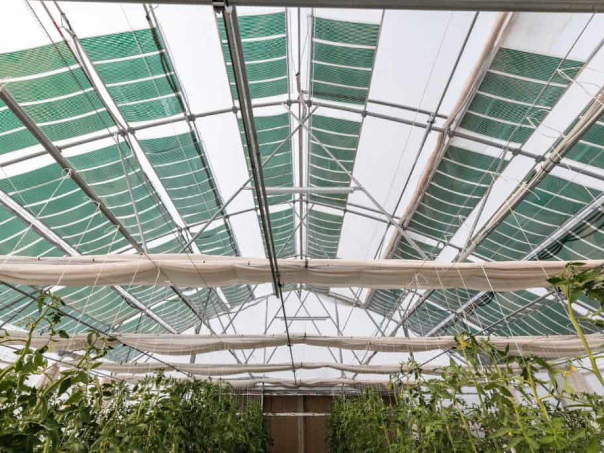 Ενεργειακή Αυτονομία & Βιωσιμότητα σε καλλιέργειες