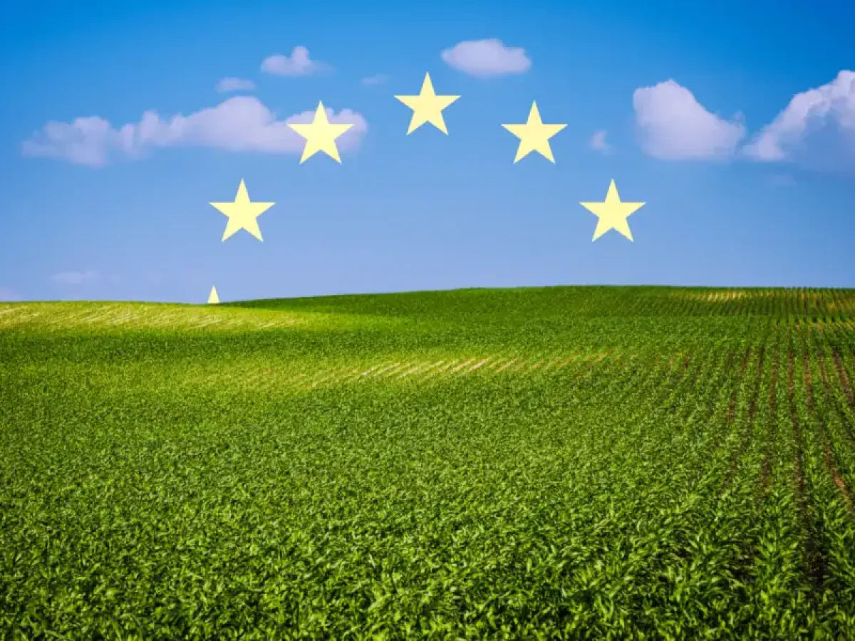 ΕΕ – Αλλαγές Επιδοτήσεων – Στο Στόχαστρο οι Ετεροεπαγγελματίες