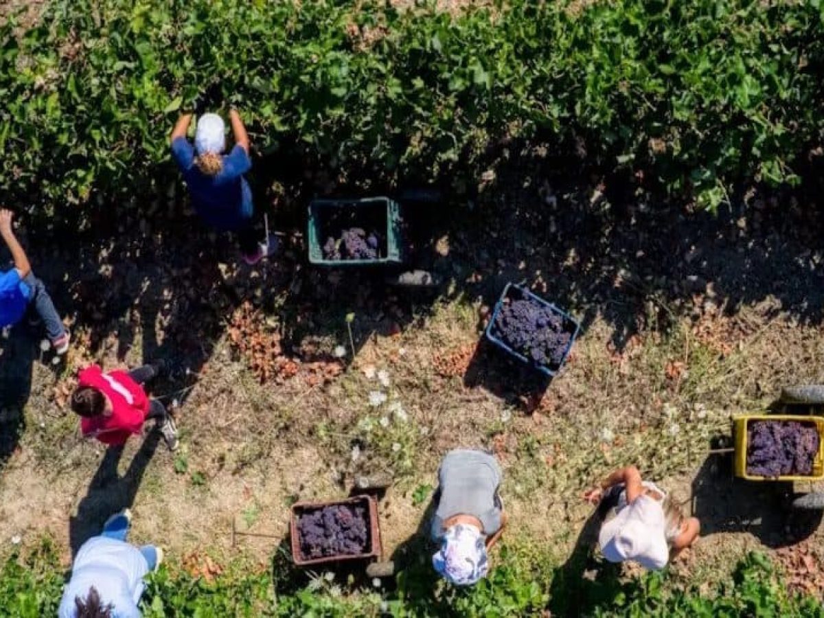 Από κόσκινο περνούν τους αγρότες οι έλεγχοι για τις επιδοτήσεις – Απώλεια των χρημάτων ακόμα και αν απουσιάζει ένα έγγραφ