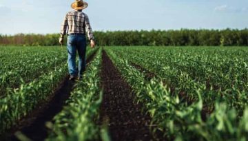 12ο Δελτίο Τιμών Αγροτικών Προϊόντων της Τράπεζας Πειραιώς – Δεκέμβριος 2025