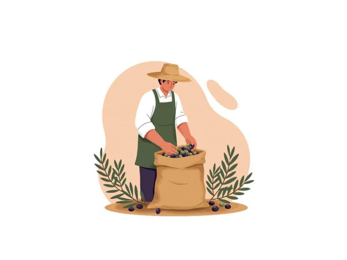 Χάθηκε η μπάλα με την παράταση στην έκδοση ψηφιακού δελτίου αποστολής με ελαιοπαραγωγούς