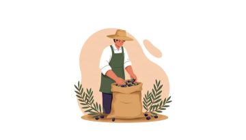 Χάθηκε η μπάλα με την παράταση στην έκδοση ψηφιακού δελτίου αποστολής με ελαιοπαραγωγούς