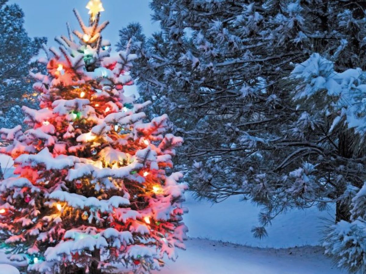 Χριστούγεννα στο χωριό: Ήθη, έθιμα και παραδόσεις των Χριστουγέννων στην ελληνική ύπαιθρο