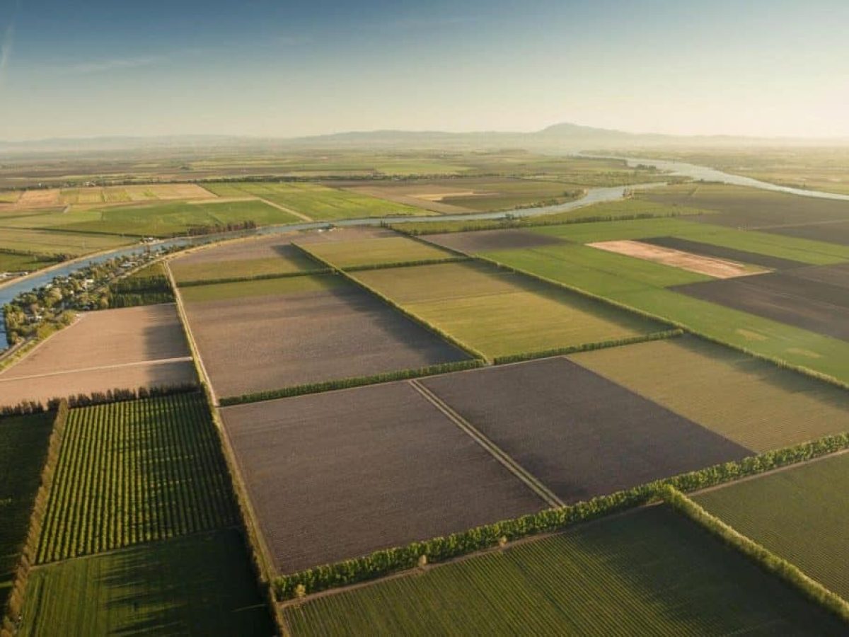Διευκρινίσεις του ΟΠΕΚΕΠΕ για τη διαδικασία ενστάσεων σε ό,τι αφορά τα αγροτεμάχια χωρίς ΚΑΕΚ και για το Μέτρο 23