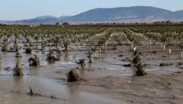 &Epsilon;&gamma;&kappa;&rho;ί&theta;&eta;&kappa;&epsilon; &pi;&lambda;&eta;&rho;&omega;&mu;ή &gamma;&iota;&alpha; &zeta;&eta;&mu;&iota;έ&sigmaf; &sigma;&tau;&omicron; &phi;&upsilon;&tau;&iota;&kappa;ό &kappa;&epsilon;&phi;ά&lambda;&alpha;&iota;&omicron; ύ&psi;&omicron;&upsilon;&sigmaf; 34,35 &epsilon;&kappa;&alpha;&tau;. &epsilon;&upsilon;&rho;ώ &sigma;&epsilon; &Theta;&epsilon;&sigma;&sigma;&alpha;&lambda;ί&alpha; &kappa;&alpha;&iota; &Sigma;&tau;&epsilon;&rho;&epsilon;ά &alpha;&pi;ό &tau;&omicron;&nu; &Epsilon;&Lambda;&Gamma;&Alpha;