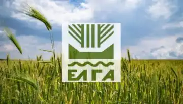 &Epsilon;&Lambda;&Gamma;&Alpha;: &Pi;&rho;&omicron;&kappa;&alpha;&tau;&alpha;&beta;&omicron;&lambda;ή 35,1 &epsilon;&kappa;&alpha;&tau;. &epsilon;&upsilon;&rho;ώ &gamma;&iota;&alpha; &zeta;&eta;&mu;&iota;έ&sigmaf; &phi;&upsilon;&tau;&iota;&kappa;&omicron;ύ &kappa;&epsilon;&phi;&alpha;&lambda;&alpha;ί&omicron;&upsilon;