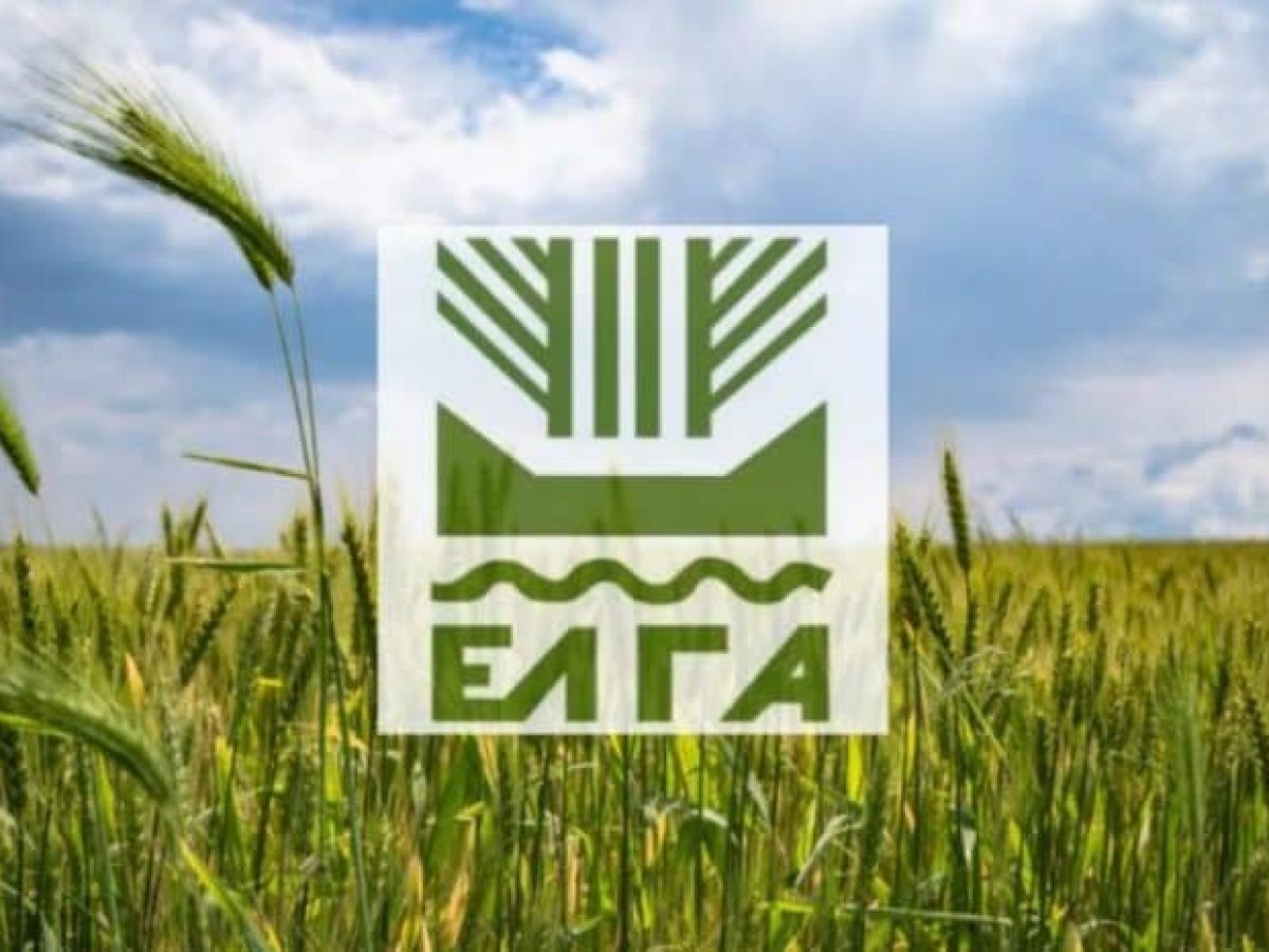 ΕΛΓΑ: Προκαταβολή 35,1 εκατ. ευρώ για ζημιές φυτικού κεφαλαίου
