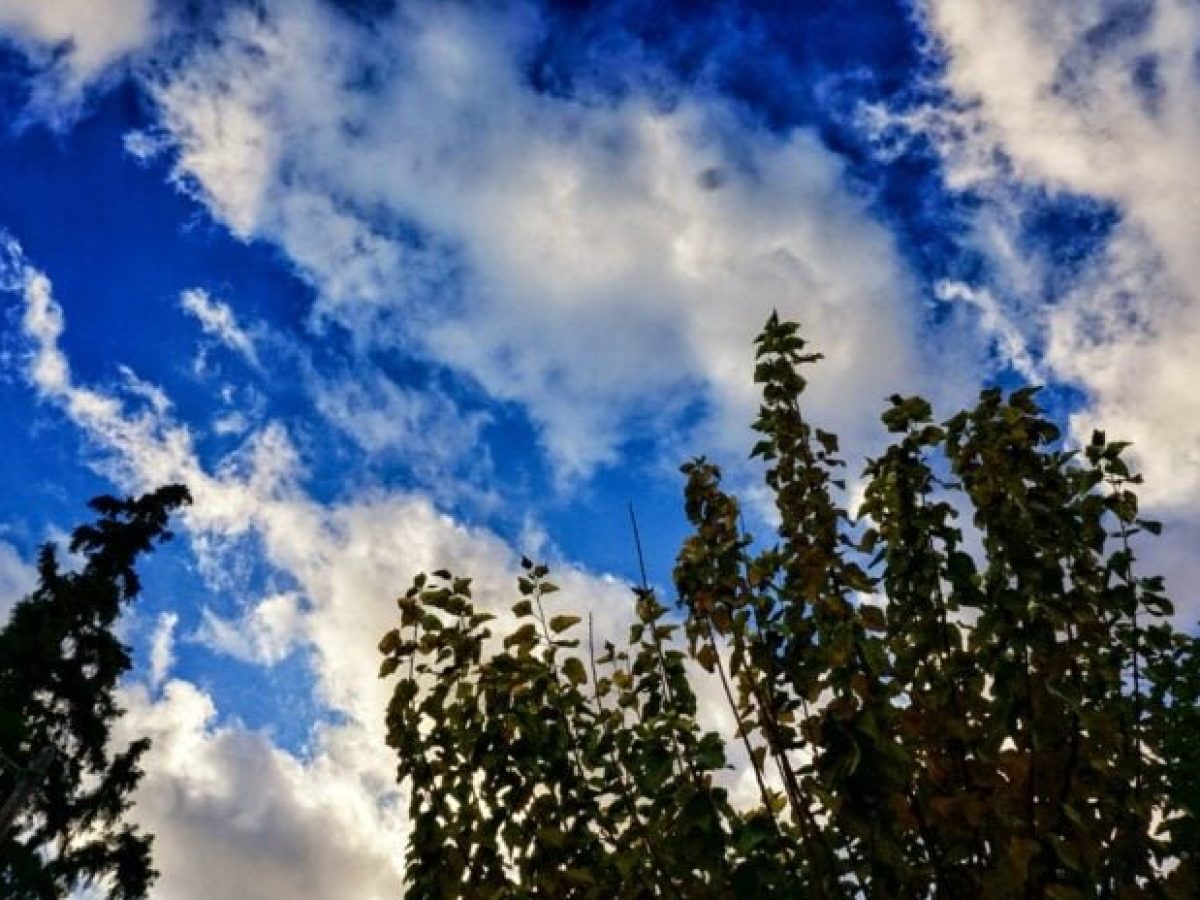 Αίθριος καιρός με λίγες νεφώσεις, η θερμοκρασία κυμαίνεται σε κανονικά επίπεδα για την εποχή