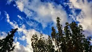 &Alpha;ί&theta;&rho;&iota;&omicron;&sigmaf; &kappa;&alpha;&iota;&rho;ό&sigmaf; &mu;&epsilon; &lambda;ί&gamma;&epsilon;&sigmaf; &nu;&epsilon;&phi;ώ&sigma;&epsilon;&iota;&sigmaf;, &eta; &theta;&epsilon;&rho;&mu;&omicron;&kappa;&rho;&alpha;&sigma;ί&alpha; &kappa;&upsilon;&mu;&alpha;ί&nu;&epsilon;&tau;&alpha;&iota; &sigma;&epsilon; &kappa;&alpha;&nu;&omicron;&nu;&iota;&kappa;ά &epsilon;&pi;ί&pi;&epsilon;&delta;&alpha; &gamma;&iota;&alpha; &tau;&eta;&nu; &epsilon;&pi;&omicron;&chi;ή