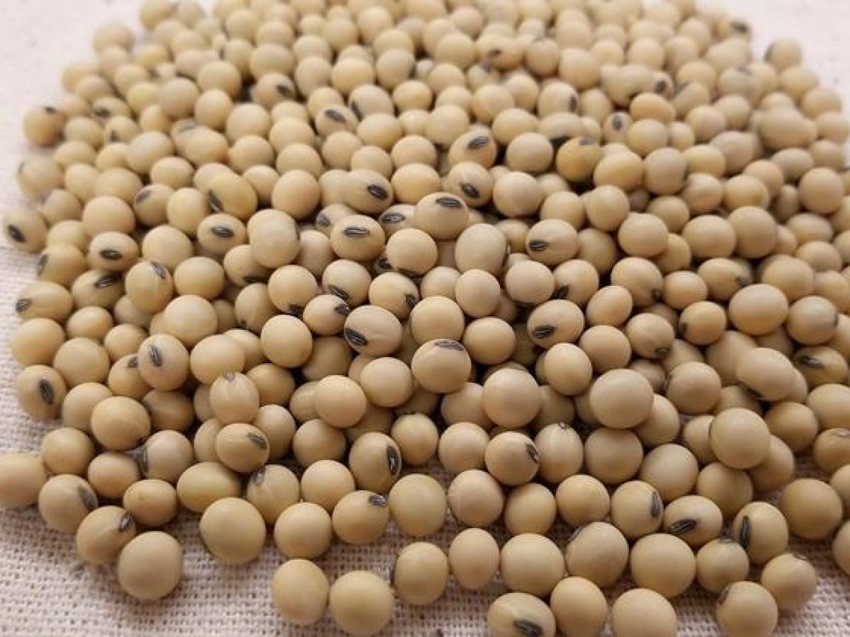 Οι ΗΠΑ πιέζουν για εξαγωγές μεταλλαγμένης σόγιας και καλαμποκιού στην Ινδία