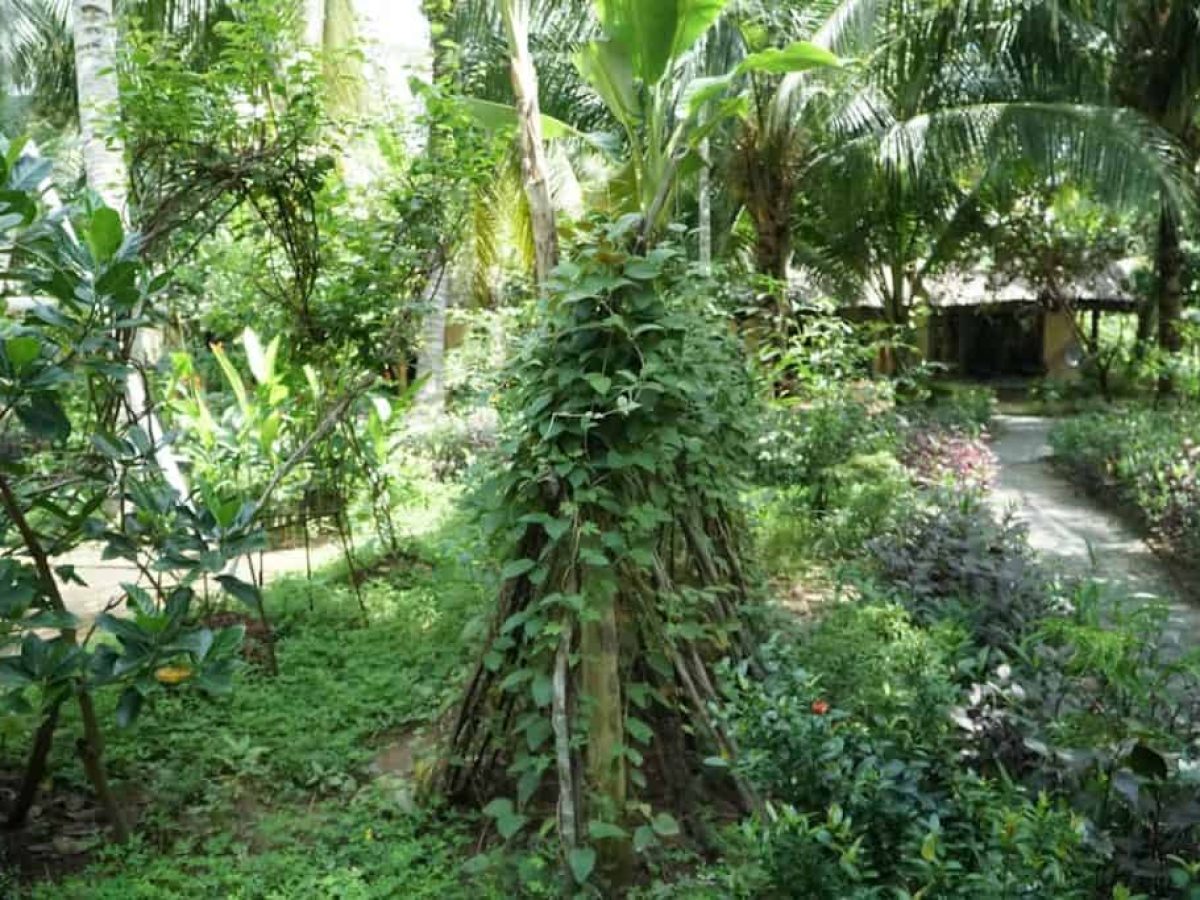 Κερδοφόρες καλλιέργειες: Σπανάκι, Φασόλια, Καρότα, Λάχανα, Αγγούρια, Φράουλες, Λεμόνια, Μήλα, Αχλάδια, Ελιές