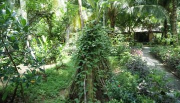 Κερδοφόρες καλλιέργειες: Σπανάκι, Φασόλια, Καρότα, Λάχανα, Αγγούρια, Φράουλες, Λεμόνια, Μήλα, Αχλάδια, Ελιές