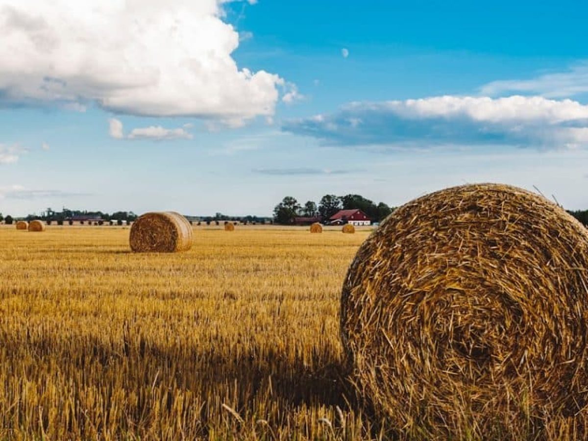 Τα 8 πιο κλασικά στερεότυπα για τους αγρότες