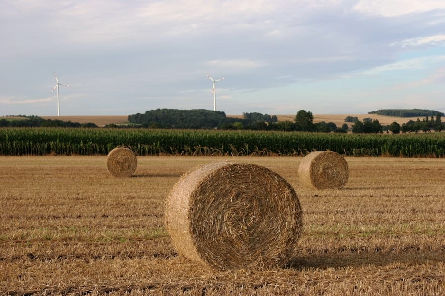 Photo agricultural stereotypes