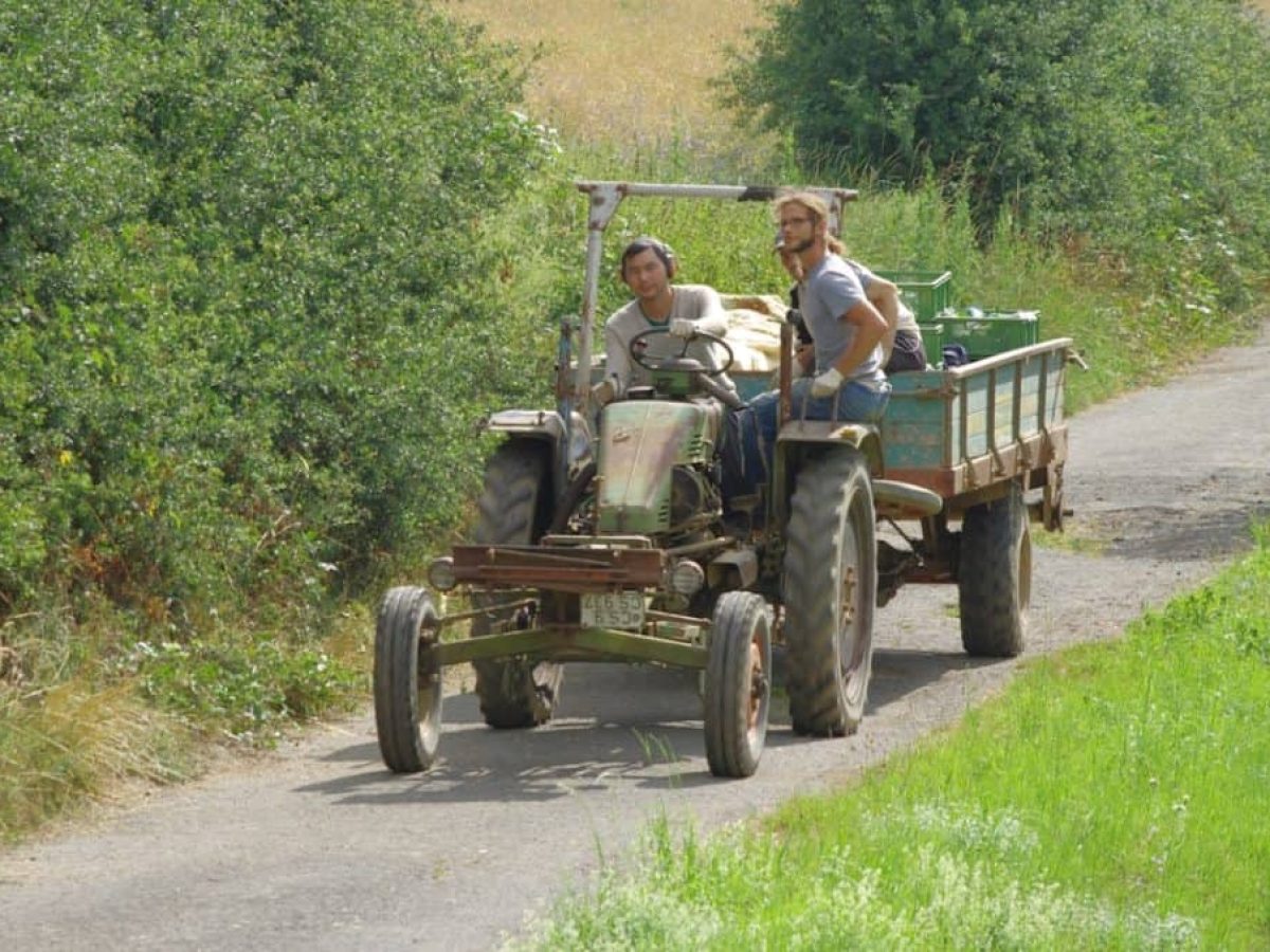 Μέσος όρος ηλικίας των αγροτών και το μέλλον στην Ευρώπη