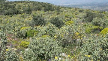 Ύποπτες διαγραφές αγρών  στο Ε9 βγάζουν στο ξέφωτο απατεώνες και συμβούλους