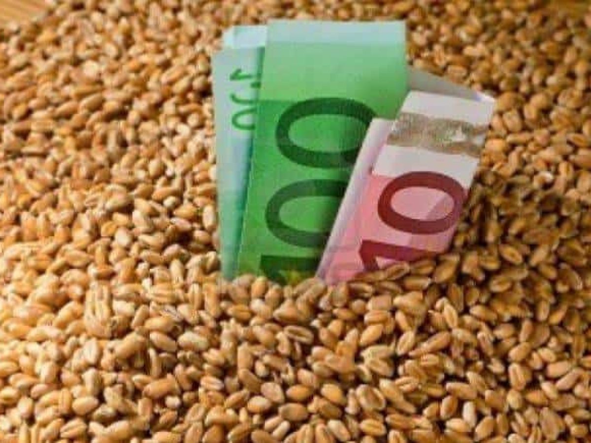 Υπουργείο Αγροτικής Ανάπτυξης: Μέχρι το μεσημέρι οι πληρωμές ΟΠΕΚΕΠΕ – Τι συνέβη με τις κρατήσεις του ΕΛΓΑ