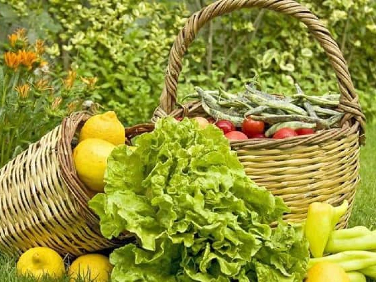 Νέες οδηγίες για τις τελωνειακές διαδικασίες εισαγωγής βιολογικών προϊόντων