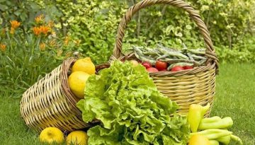 Νέες οδηγίες για τις τελωνειακές διαδικασίες εισαγωγής βιολογικών προϊόντων