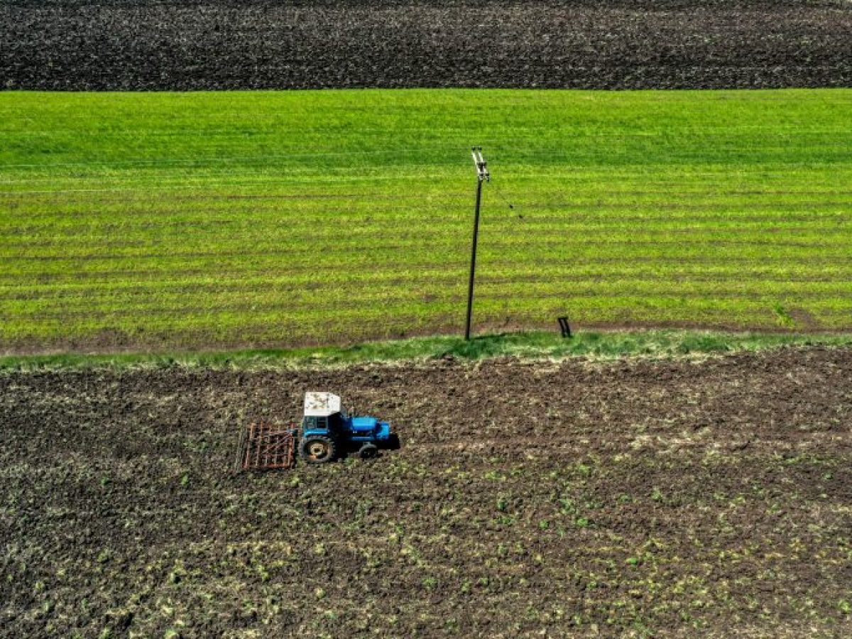 ΟΠΕΚΕΠΕ: Δεσμεύτηκαν οι λογαριασμοί ενός ακόμα αγροτοσυνδικαλιστή για παράνομες επιδοτήσεις