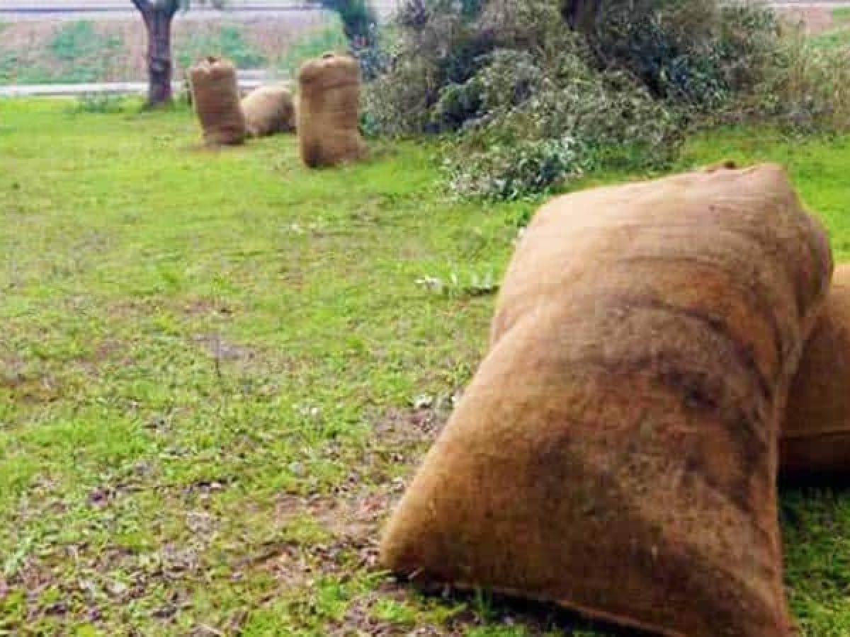 ΟΠΕΚΕΠΕ: Διευκρινίσεις για τις ενστάσεις στα αγροτεμάχια χωρίς ΚΑΕΚ και για το Μέτρο 23