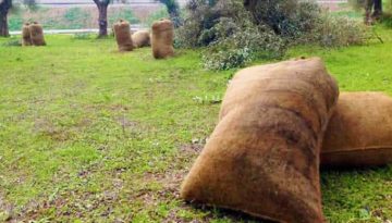 ΟΠΕΚΕΠΕ: Διευκρινίσεις για τις ενστάσεις στα αγροτεμάχια χωρίς ΚΑΕΚ και για το Μέτρο 23